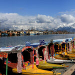 Gallery Thumbnail 1
